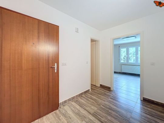 SPACIEUX 4½ PIÈCES - Environnement très calme! - Photo 1