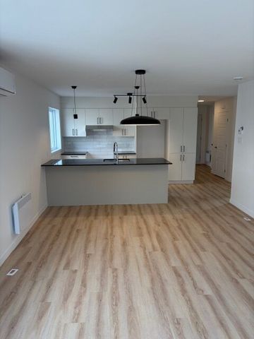 542 Rue Saint-Michel, Sherbrooke, (Vacant) QC J1E 2L1 - Photo 5