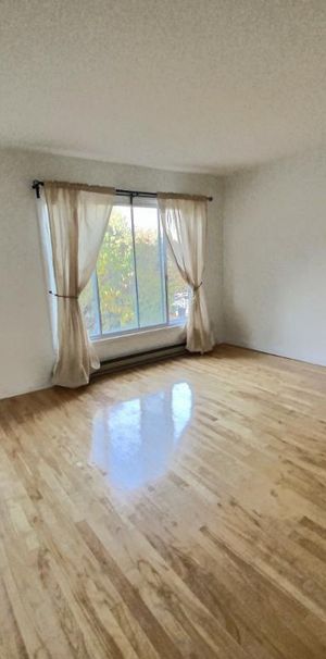 Mercier-Hochelaga beaux 5 1/2 avec électroménagers- 3 chambres à couchers 2e étage - Photo 1