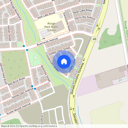 16 Greenery Road #Basement, Markham, Cornell