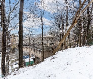 For Lease - 116 Ferris Road Unit# Bsmt, Toronto, Ontario - Photo 6