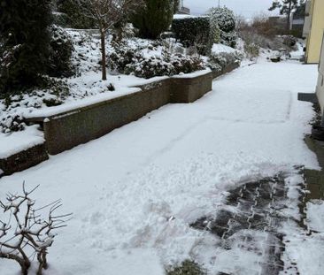 2.5 Zimmer, 38 m², EG - Foto 1