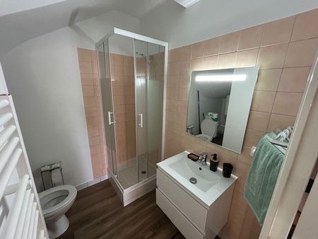 Location Appartement 1 pièce 19m² SAUMUR 49400 - Photo 5