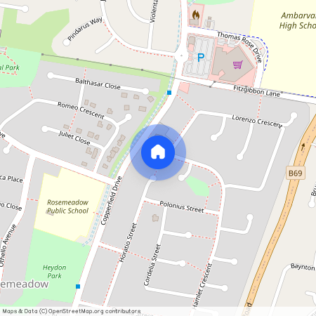 6 Hamlet Place, Rosemeadow 2560, New South Wales