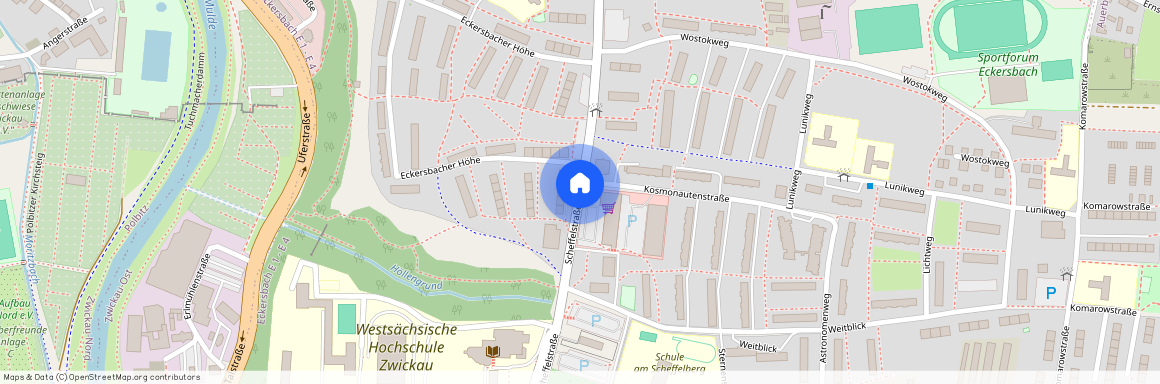 08066 Zwickau / Auerbach