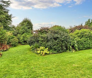 2 bedroom detached bungalow to rent - Photo 1