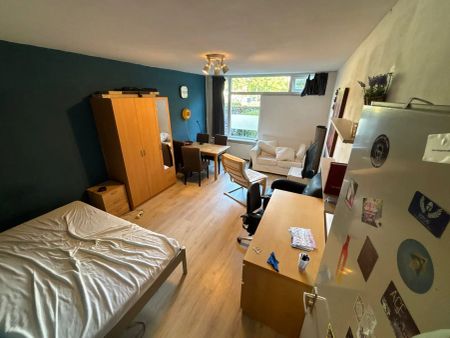 Chambre au 25-3 Wassenaarseweg, Leyde - À Louer - Photo 2
