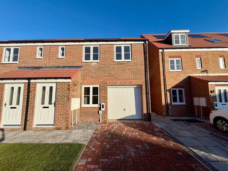 3 bedroom semi-detached house to rent - Photo 3