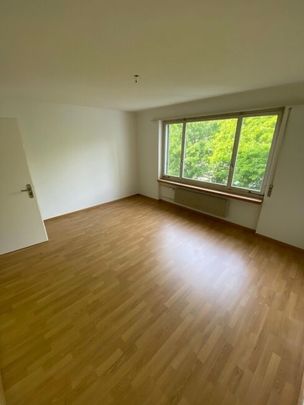 Living near nature and the city - Foto 1