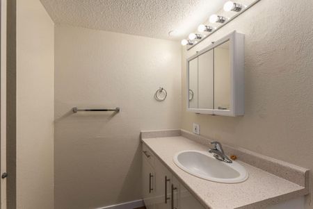 1 Bedroom - Renovated - Photo 2