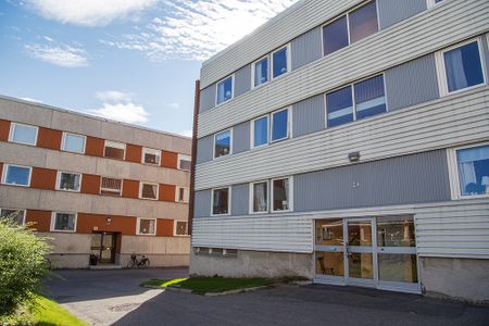 Hamnplan 2 A, 94161, Piteå - Photo 5