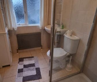 Earlsfort Road, Lucan, Co. Dublin - Photo 5