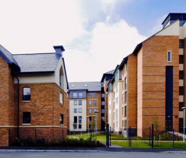 Classic Studio - Photo 3