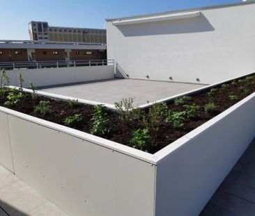 JETZT TOPAKTION: EIN MONAT MIETFREI !!! 3-ZIMMERWOHNUNG MIT TOPAUSS... - Foto 2