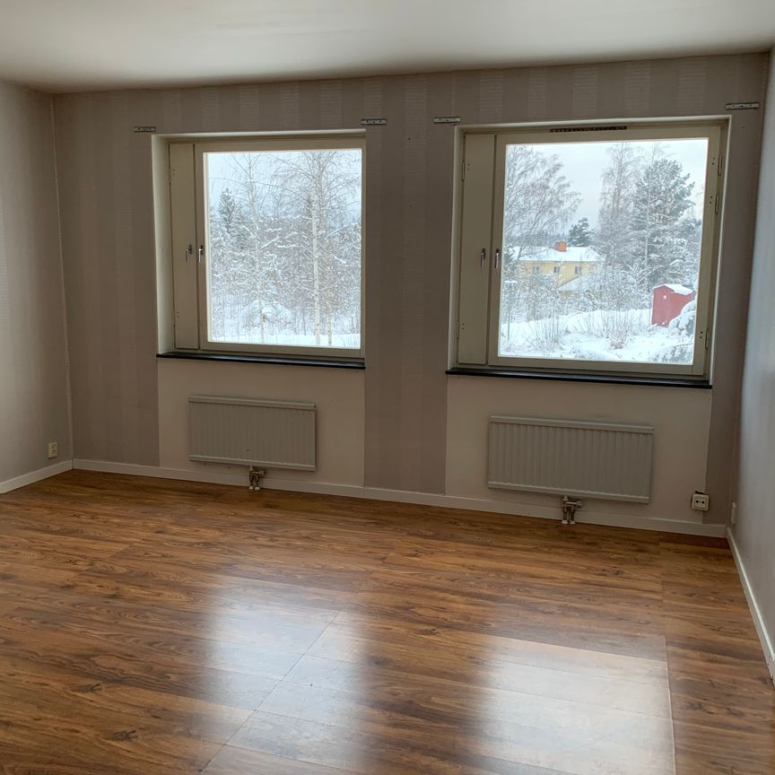 Textilvägen, Sågmyra - Foto 1