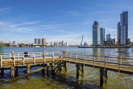 Te huur: Appartement Delistraat in Rotterdam - Foto 4