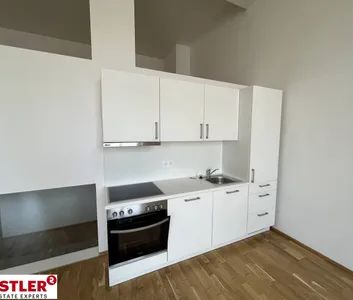 Helle und geräumige Loft Wohnung - Foto 1