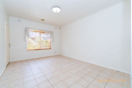 Homely & Light filled Two-Bedroom Unit - Photo 3