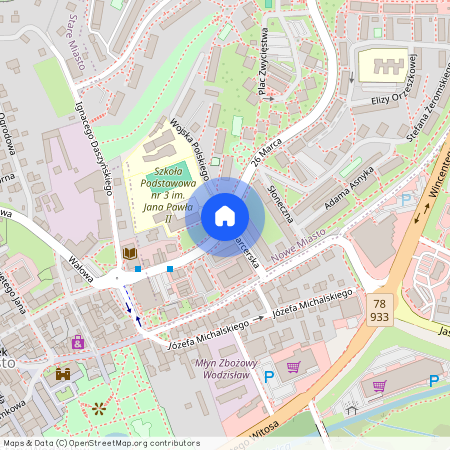 Wodzisław Śląski, wodzisławski, śląskie