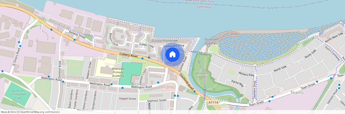 Cormorant Drive, Gateshead, NE11