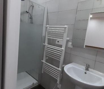 Location Appartement 1 pièce 23m² BRUAY SUR L ESCAUT 59860 - Photo 4