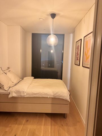 Lodjursstråket, Göteborg - Foto 5