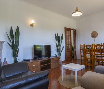 Rua dos Taxistas - Photo 2