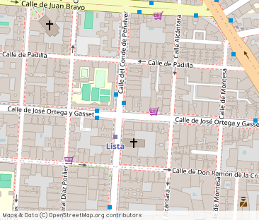 Calle de José Ortega y Gasset - Photo 1