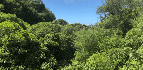 Gorgeous, Sunny Three Bedroom House - Photo 2