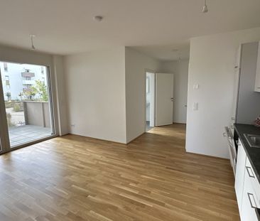 Moderne 2 Zi Wohnung mit Balkon provisionsfrei - nahe U1 - Foto 3
