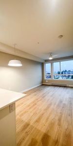 $1,550 / 1br - 548ft2 - New, Cat-Friendly 1 Bedroom Apartment - Photo 3