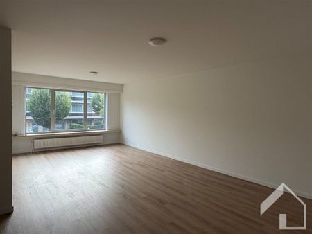 Appartement te huur in Wommelgem met 2 slaapkamers - Photo 3