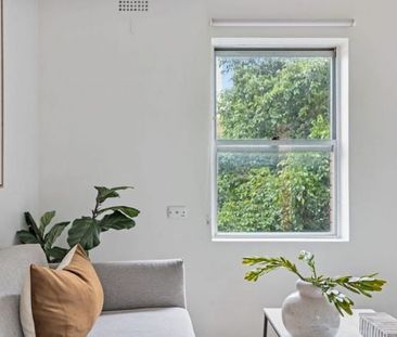 Renovated Studio In A Leafy City Fringe Pocket - Photo 3