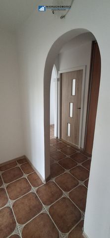 Polkowicki, Polkowice, Gwarków, Skalników - Zdjęcie 2