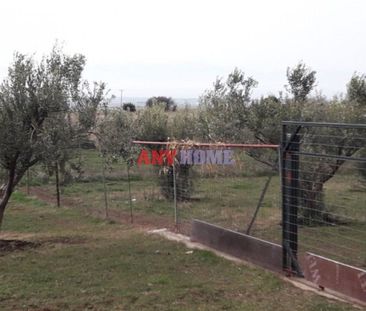 Διαμέρισμα για ενοικίαση Μονοπήγαδο (Βασιλικά) - Photo 6
