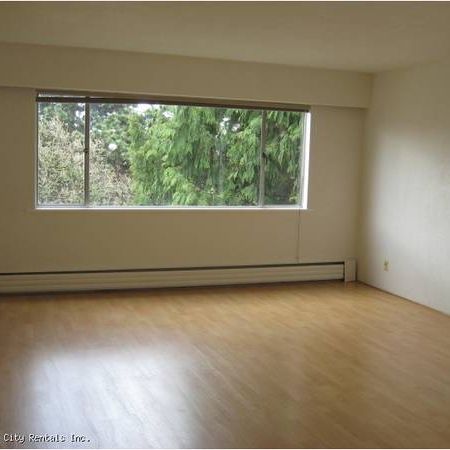 HUGE 1 Bedroom in Great Marpole location! Spacious & Bright!!! - Photo 1