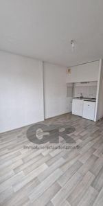 Location Appartement 1 pièce 23m² VANDOEUVRE LES NANCY 54500 - Photo 3