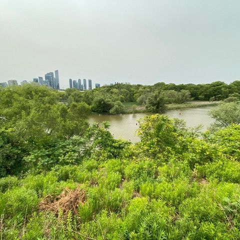 For Lease - 163 Riverside Drive Unit# 2, Toronto, Ontario - Photo 1