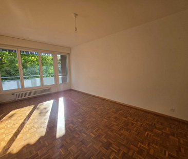 2 Zimmer, 53 m², 1. Stock - Photo 2