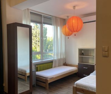 Mieszkanie na wynajem – Kalisz , złota 79 - Photo 2