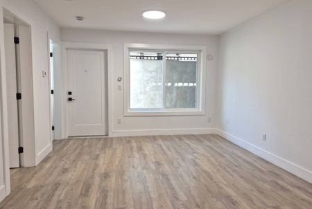 2715 201 St, Langley (Basement 2) - Photo 3