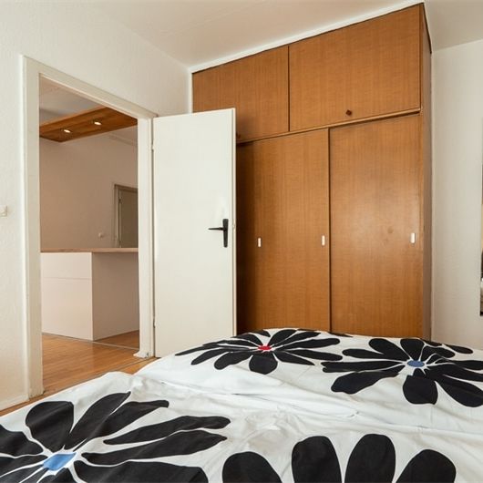 Immobilien - Foto 1