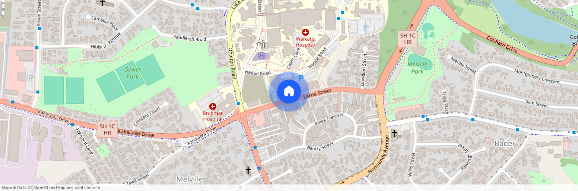 17 Lorne Street, Melville, Hamilton City