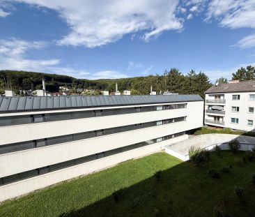 1-Zimmer Wohnung mit Loggia in Purkersdorf zu vermieten - Photo 2