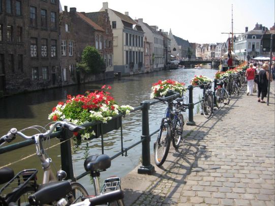 Renovatie op woonerf nabij Vrijdagsmarkt! - Photo 1