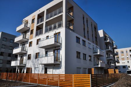 Mieszkanie 3 pokojowe wynajem okolice Malty Rataje - Photo 2