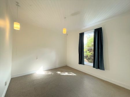 29 Hawthorn Avenue, Mornington, Dunedin - Photo 3