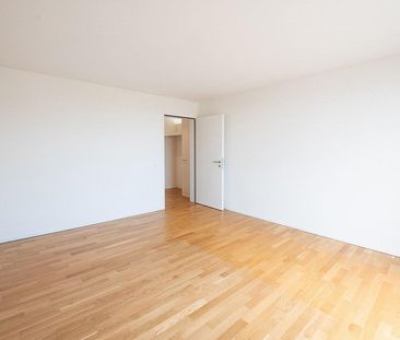 2.5 Zimmer-Wohnung in Tagelswangen - Photo 1
