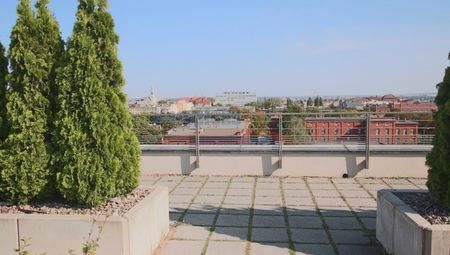 Centrum, Szczecin - Photo 4