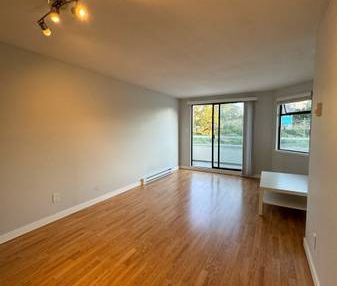 Entire Apartment 2 Beds 1 Bath - Photo 3